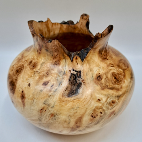 Click to view detail for JW-252 Colorado Aspen Burl Hollow Woodturning $225